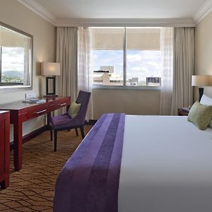 AVANI Suite